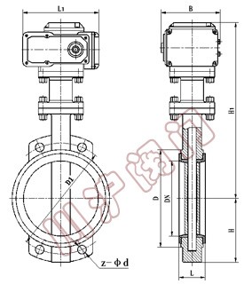 D971電動軟密封蝶閥 結構圖